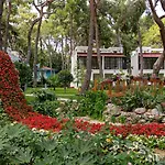 Hotel Seven Seas Life Kemer