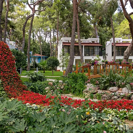 Hotel Seven Seas Life Kemer